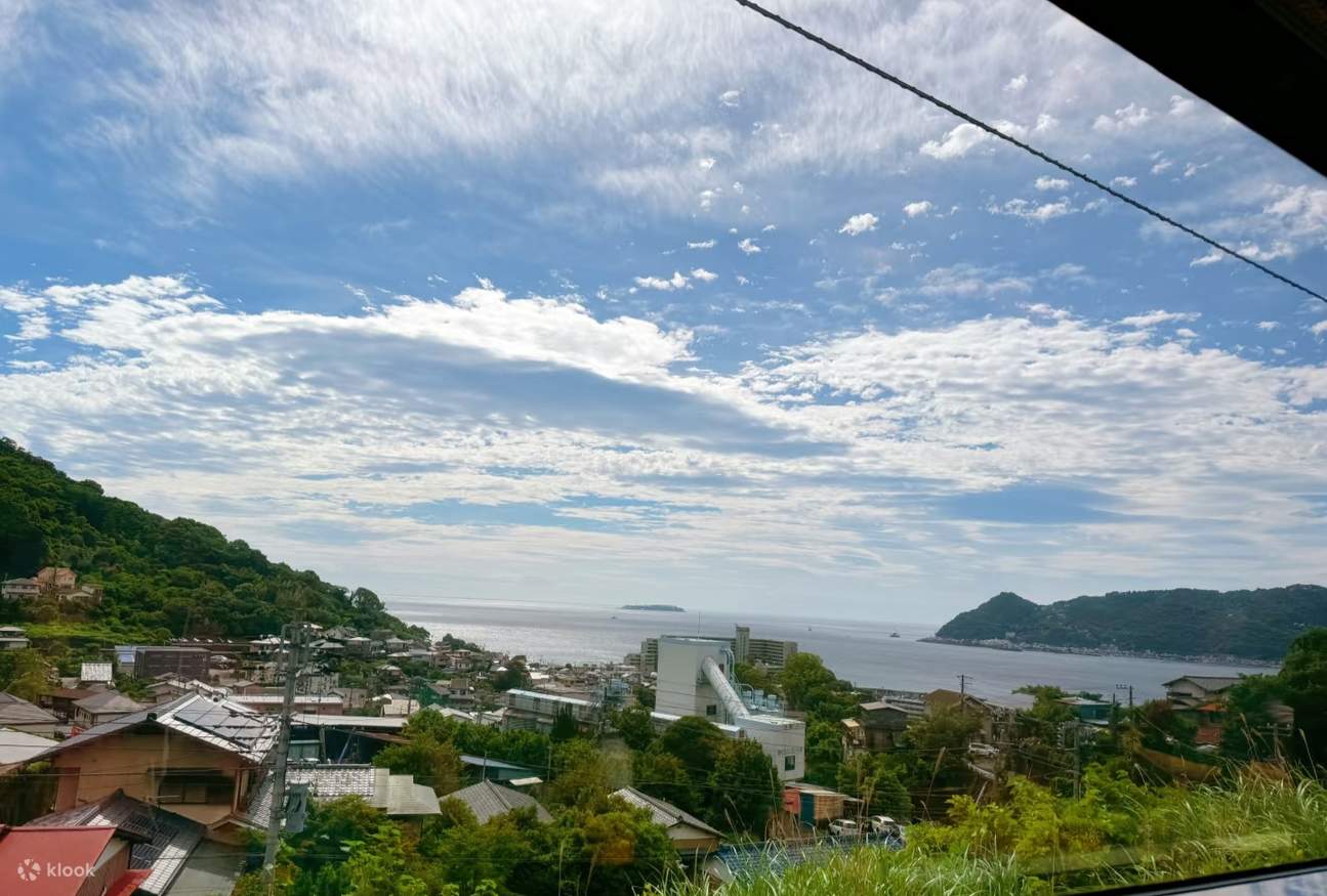 [Departure from Tokyo] Eastern Izu and Southern Izu Two-Day Small Group ...